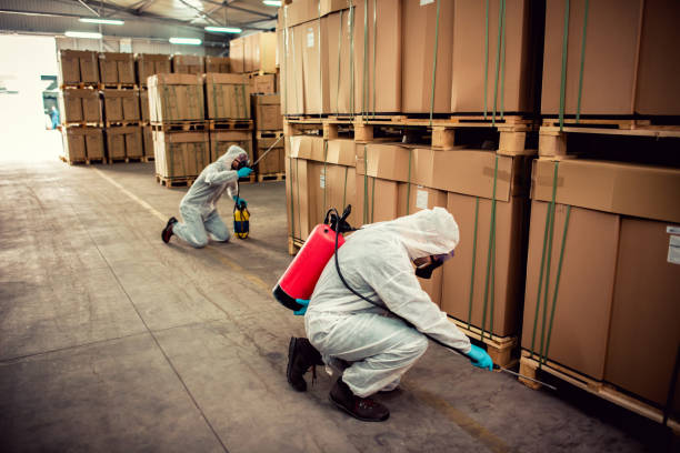 Best Mosquito Control Services  in Spring Lake, NC