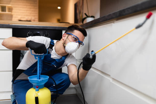 Best Pest Inspection Near Me  in Spring Lake, NC