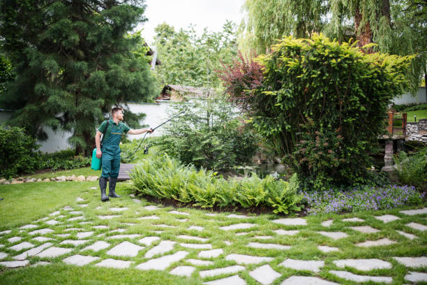 Best Affordable Pest Control Services  in Spring Lake, NC