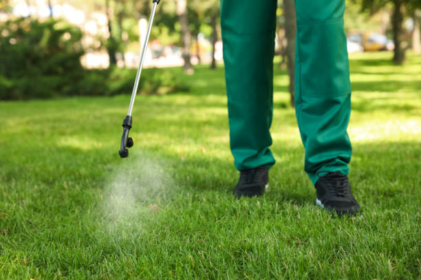 Best Exterminator Services  in Spring Lake, NC
