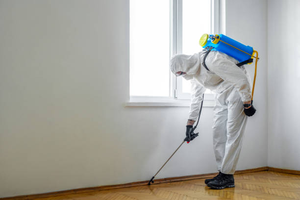 Best Local Pest Control Services  in Spring Lake, NC