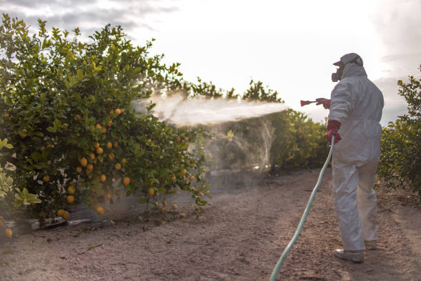 Professional Pest Control in Spring Lake, NC