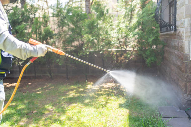 Best Pest Removal Services  in Spring Lake, NC