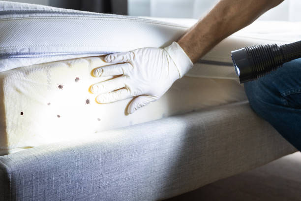 Best Wildlife Control Services  in Spring Lake, NC