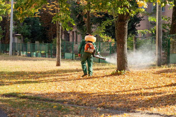 Best Bed Bug Extermination  in Spring Lake, NC
