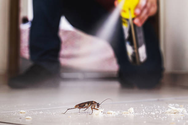 Best Cockroach Control Services  in Spring Lake, NC