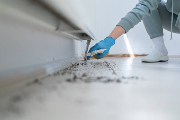 Pest Control Cost in Spring Lake, NC