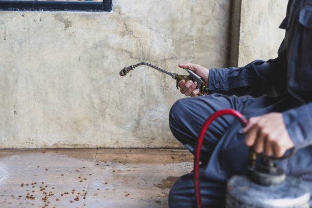 Best Best Pest Control Companies  in Spring Lake, NC