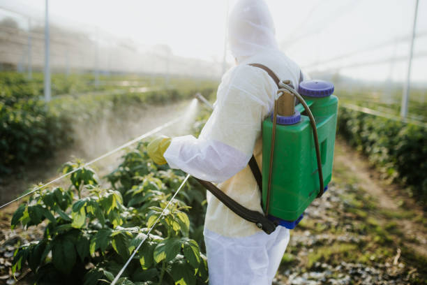 Best Pest Control Near Me  in Spring Lake, NC